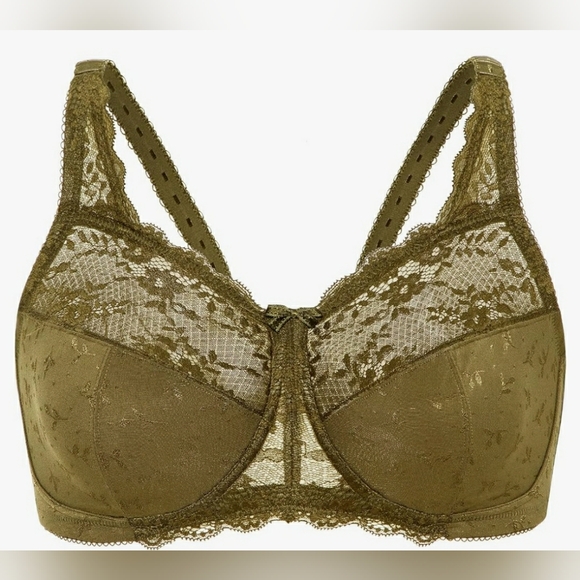 Delimira Lace Bra 38F NWT - Picture 2 of 9